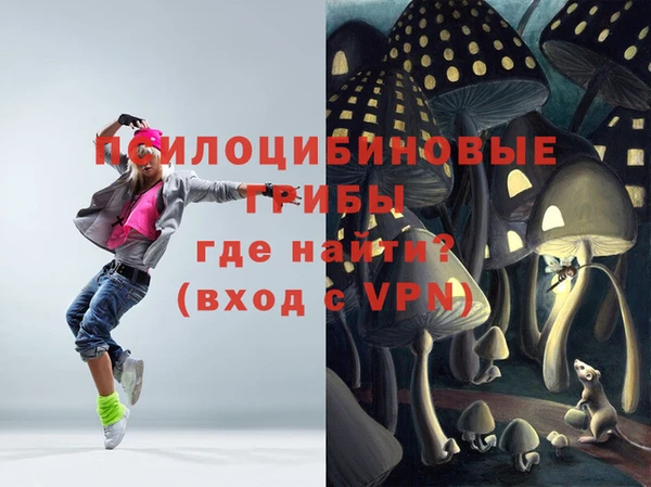 мдпв Калининец